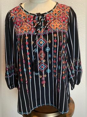 Savanna Jane Black Tunic with Multicolor Embroidery